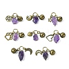 Natural Amethyst Pet Collar Charms HJEW-PH01731-1