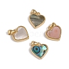 Natural Shell Charms KK-L196-14-1