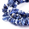 Natural Sodalite Chips Beads Strands X-F024-3