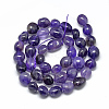 Natural Amethyst Beads Strands X-G-R445-8x10-03-2