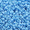 TOHO 6/0 Round Beads X-SEED-TR06-0403F-4