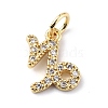 Brass Micro Pave Cubic Zirconia Charms ZIRC-F131-16G-03-1