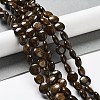 Natural Bronzite Beads Strands G-G084-D13-01-2