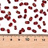 Picasso Spray Painted Glass Seed Beads SEED-T006-04-30-4