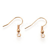 Iron Earring Hooks J07JW-LG-2