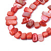 Natural Trochid Shell/Trochus Shell Beads Strands SHEL-S258-082-B06-3