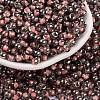 Glass Seed Beads SEED-A032-06O-1