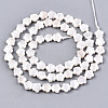 Shell Pearl Beads Strands SSHEL-N032-21-2