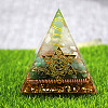 Orgonite Pyramid Resin Energy Generators PW-WG76883-01-2