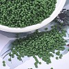 MIYUKI Round Rocailles Beads X-SEED-G007-RR0411F-1