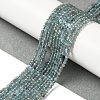 Natural Apatite Beads Strands G-C137-A01-01-2