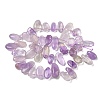 Natural Amethyst Beads Strands G-P604-A08-01-5