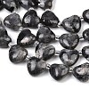 Natural Larvikite Beads Strands G-NH0069-A10-4