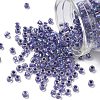 TOHO 6/0 Round Beads SEED-TR06-0265-1