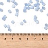 Glass Seed Beads X1-SEED-H002-D-A813-4