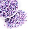 Baking Paint Glass Seed Beads SEED-C003-01K-1