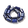 Natural Lapis Lazuli Beads Strands G-N327-06-13-3