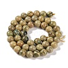 Natural Verdite Stone Beads Strands G-P530-B07-03-3