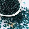 Glass Seed Beads SEED-L011-02B-08-1