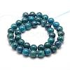 Natural Apatite Beads Strands G-F475-06-10mm-2