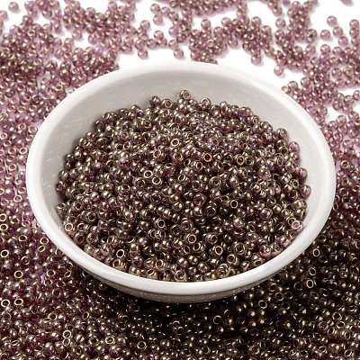 MIYUKI Round Rocailles Beads SEED-X0055-RR2448-1