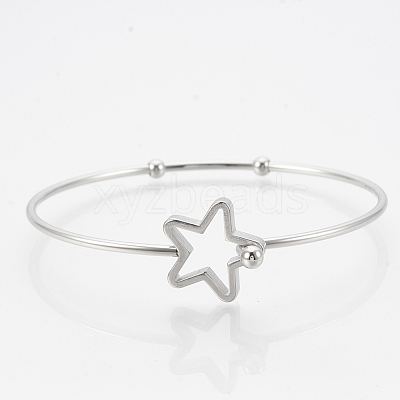 Tarnish Resistant 304 Stainless Steel Bangles LS-STAS-N084-01-1