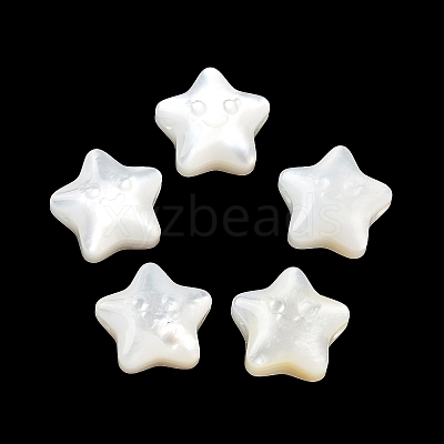 Natural White Shell Beads SHEL-M020-02A-1