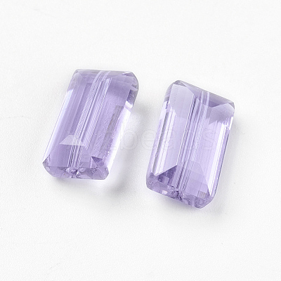 K9 Glass SWAR-F081-8x14mm-04-1
