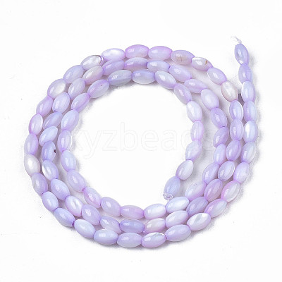 Natural Freshwater Shell Beads Strands X-SHEL-N003-25-B04-1