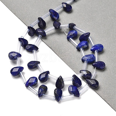 Natural Lapis Lazuli Beads Strands G-Q167-A25-02-1