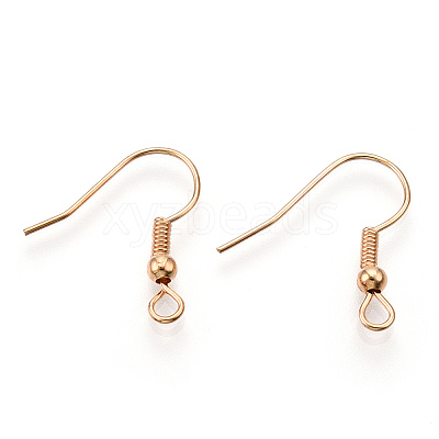 Iron Earring Hooks J07JW-LG-1