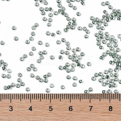 TOHO 11/0 Round Beads X-SEED-TR11-1070-1