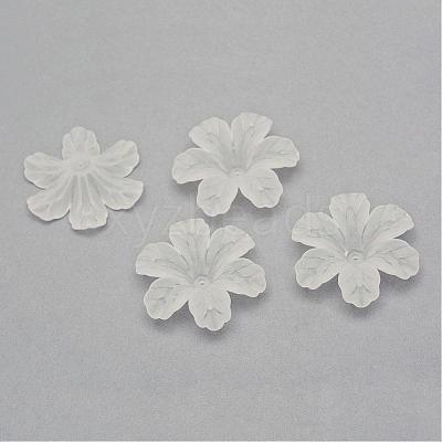 Transparent Acrylic Beads FACR-Q009-09H-1