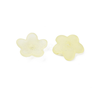 Transparent Acrylic Beads MACR-S373-118-D03-1