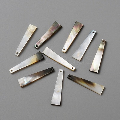 Natural Black Lip Shell Pendants LS-FIND-WH0117-09-1
