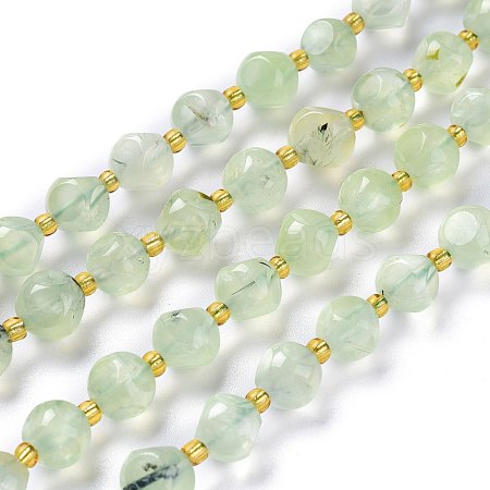 Natural Prehnite Beads Strands G-A030-B07-8mm-1