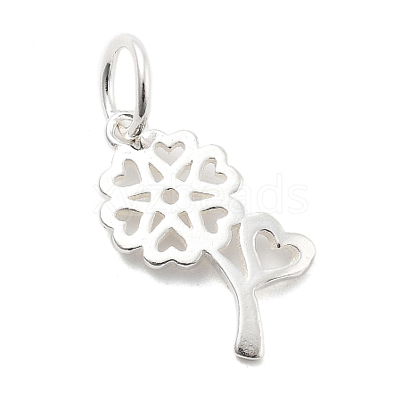 925 Sterling Silver Charms STER-S009-01A-S-1