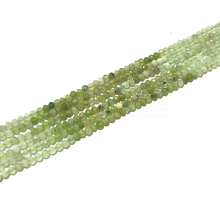 Natural Chrysoprase Beads Strands G-P438-C01-2mm-1