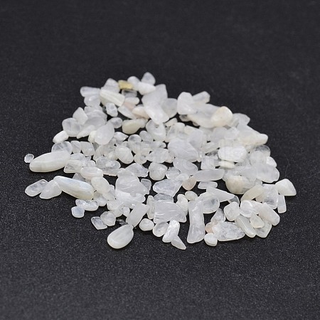 Natural White Jade Chip Beads X-G-O103-16-1
