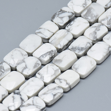 Natural Howlite Bead Strands G-T072-16-1