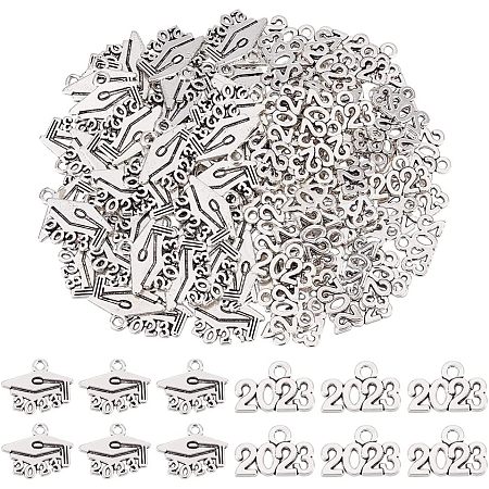 CHGCRAFT 120Pcs 2 Style Tibetan Style Alloy Charms FIND-CA0006-06-1