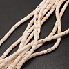 Column Natural Spiral Shell Red Lip Shell Beads Strands SHEL-E355-19-1