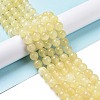 Electroplated Natural Yellow Selenite Beads Strands G-N328-025A-03-1-2