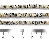 Natural Dalmatian Jasper Beads Strands G-K343-C36-01-5