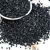 Electroplate Glass Seed Beads SEED-H003-10K-1