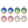 8Pcs 4 Colors Alloy Resin Pendants FIND-YW0003-76-1