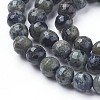 Natural Kambaba Jasper Beads Strands G-P430-11-B-3