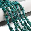 Natural HuBei Turquoise Beads Strands G-B089-A01-01-2