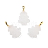 Natural Quartz Crystal Pendants G-A203-01K-1