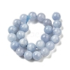 Dyed Natural Malaysia Jade Beads Strands G-G021-02B-22-2